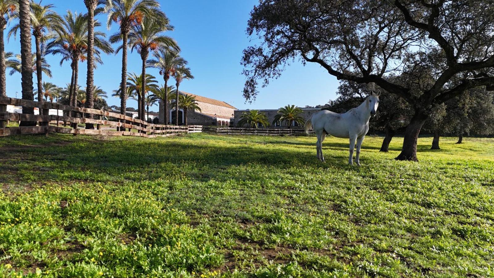 Alojamiento Rural Finca Barral Эль-Гарробо Экстерьер фото