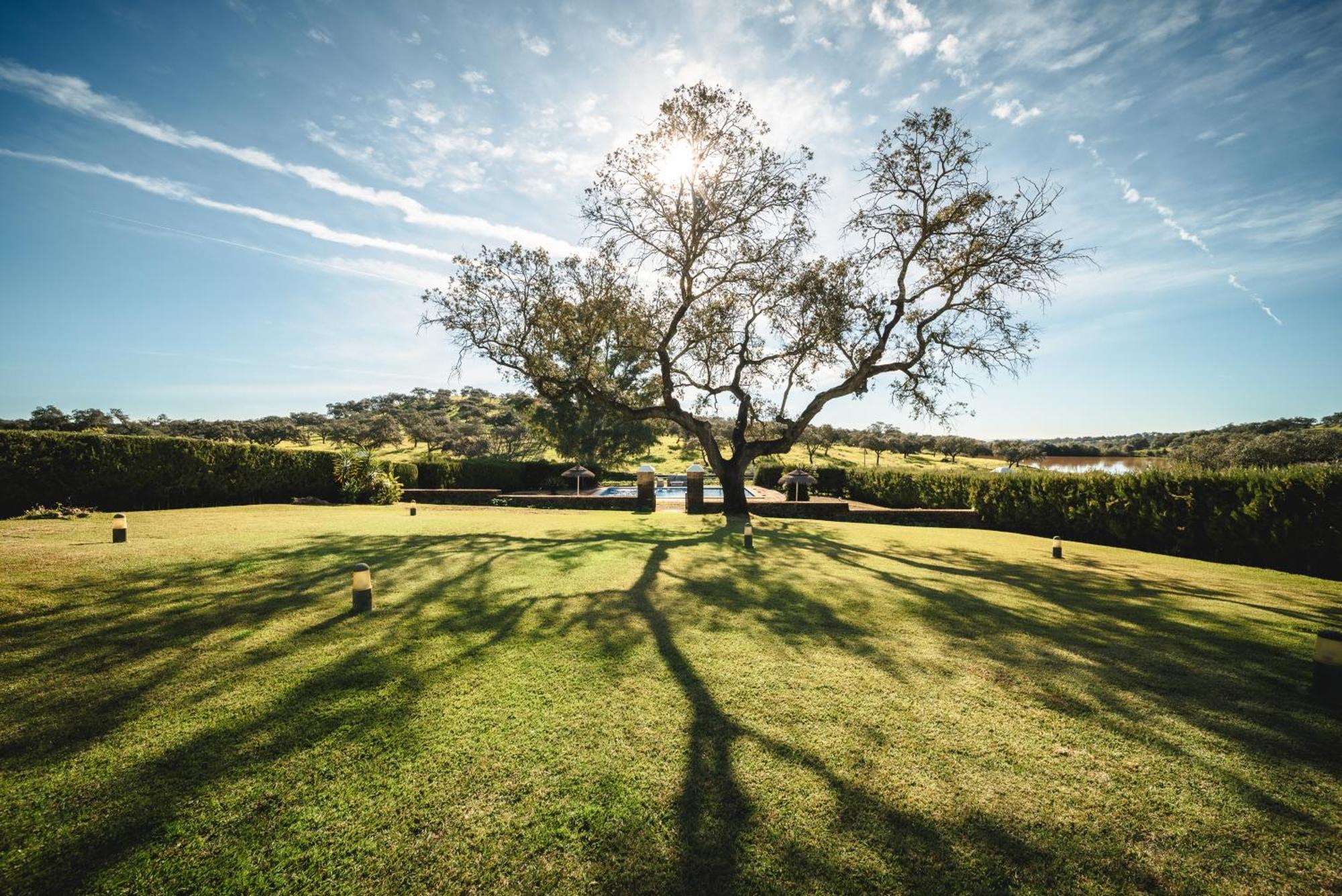 Alojamiento Rural Finca Barral Эль-Гарробо Экстерьер фото