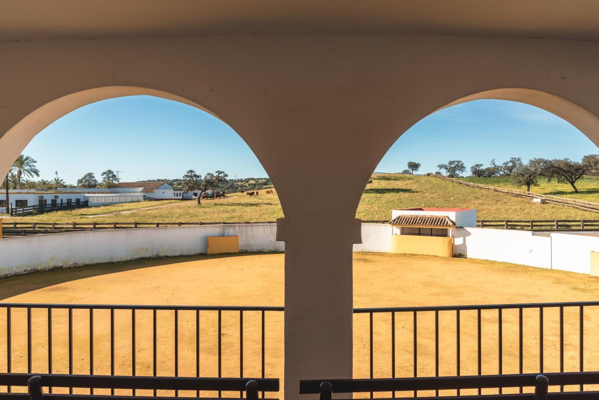 Alojamiento Rural Finca Barral Эль-Гарробо Экстерьер фото