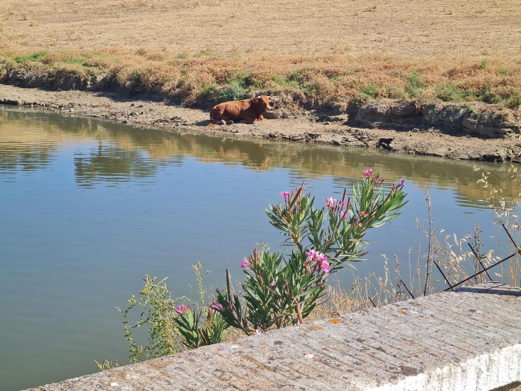 Alojamiento Rural Finca Barral Эль-Гарробо Экстерьер фото
